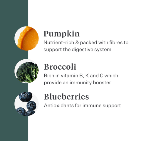 Imby Plant Based dog food, complete meat-free dry food for dogs, made with plant-based proteins and natural superfoods, supports digestion and overall wellbeing, hypoallergenic and low-calorie formula, balanced nutrition developed by vets, highly palatable kibble. | localization: EN