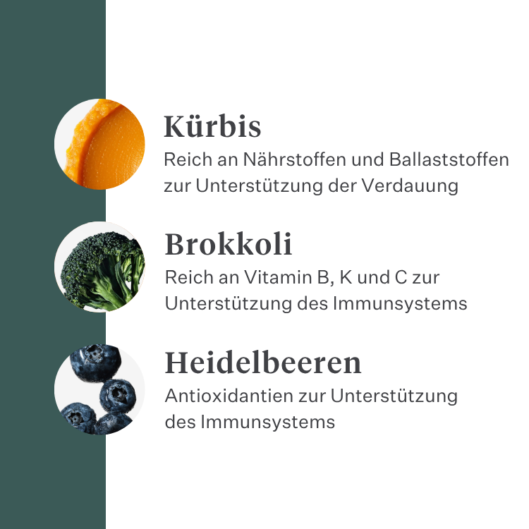 Imby Plant Based Hundefutter, vollständiges fleischfreies Trockenfutter für Hunde, auf Basis pflanzlicher Proteine und natürlicher Superfoods, unterstützt die Verdauung und das allgemeine Wohlbefinden, hypoallergene und kalorienarme Formel, ausgewogene Ernährung entwickelt von Tierärzten, sehr schmackhafte Kroketten. | localization: DE