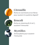 Imby Plant Based nourriture pour chiens, aliment sec complet sans viande pour chiens, à base de protéines végétales et de superaliments naturels, soutient la digestion et le bien-être général, formule hypoallergénique et faible en calories, nutrition équilibrée développée par des vétérinaires, croquettes très appétentes. | localization: FR