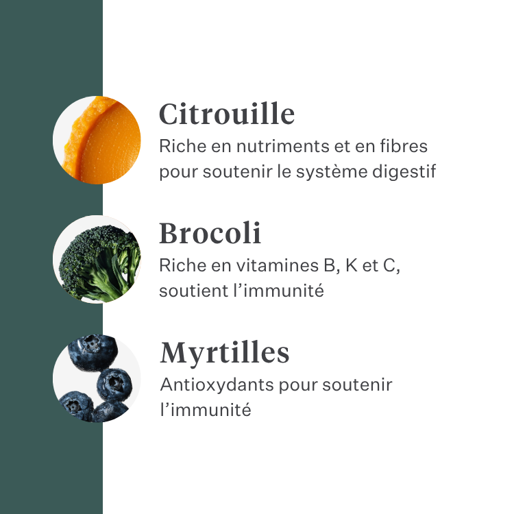 Imby Plant Based nourriture pour chiens, aliment sec complet sans viande pour chiens, à base de protéines végétales et de superaliments naturels, soutient la digestion et le bien-être général, formule hypoallergénique et faible en calories, nutrition équilibrée développée par des vétérinaires, croquettes très appétentes. | localization: FR