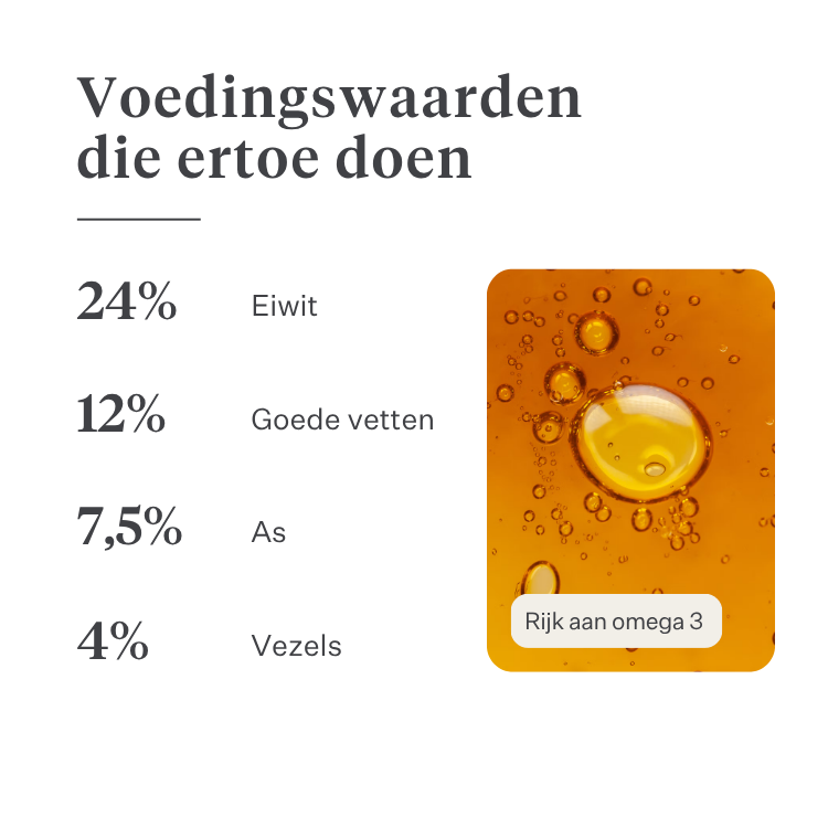 Imby Plant Based hondenvoer, volledig vleesvrij droogvoer voor honden, op basis van plantaardige eiwitten en natuurlijke superfoods, ondersteunt de spijsvertering en het algemeen welzijn, hypoallergene en caloriearme formule, uitgebalanceerde voeding ontwikkeld door dierenartsen, zeer smakelijke brok. | localization: NL
