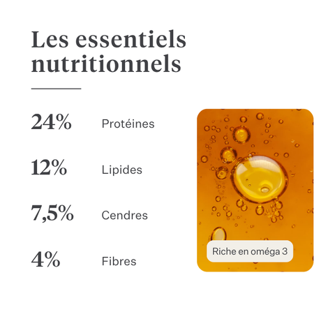 Imby Plant Based nourriture pour chiens, aliment sec complet sans viande pour chiens, à base de protéines végétales et de superaliments naturels, soutient la digestion et le bien-être général, formule hypoallergénique et faible en calories, nutrition équilibrée développée par des vétérinaires, croquettes très appétentes. | localization: FR