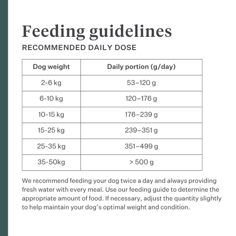 Imby Plant Based dog food, complete meat-free dry food for dogs, made with plant-based proteins and natural superfoods, supports digestion and overall wellbeing, hypoallergenic and low-calorie formula, balanced nutrition developed by vets, highly palatable kibble. | localization: EN