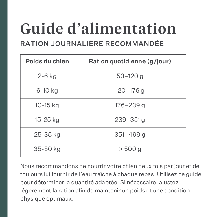 Imby Plant Based nourriture pour chiens, aliment sec complet sans viande pour chiens, à base de protéines végétales et de superaliments naturels, soutient la digestion et le bien-être général, formule hypoallergénique et faible en calories, nutrition équilibrée développée par des vétérinaires, croquettes très appétentes. | localization: FR