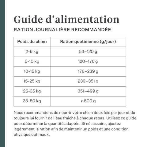 Imby Plant Based nourriture pour chiens, aliment sec complet sans viande pour chiens, à base de protéines végétales et de superaliments naturels, soutient la digestion et le bien-être général, formule hypoallergénique et faible en calories, nutrition équilibrée développée par des vétérinaires, croquettes très appétentes. | localization: FR