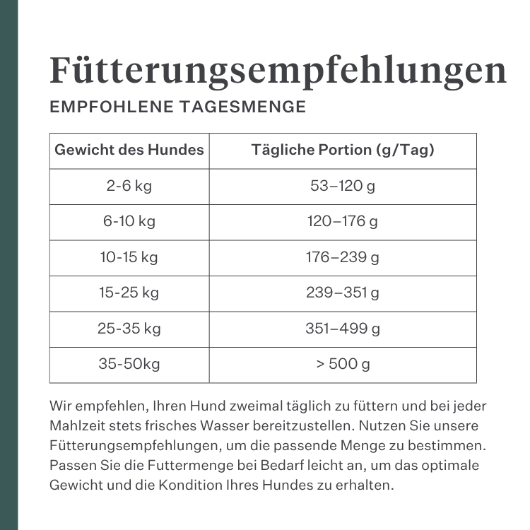 Imby Plant Based Hundefutter, vollständiges fleischfreies Trockenfutter für Hunde, auf Basis pflanzlicher Proteine und natürlicher Superfoods, unterstützt die Verdauung und das allgemeine Wohlbefinden, hypoallergene und kalorienarme Formel, ausgewogene Ernährung entwickelt von Tierärzten, sehr schmackhafte Kroketten. | localization: DE