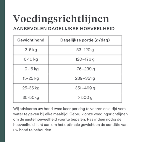Imby Plant Based hondenvoer, volledig vleesvrij droogvoer voor honden, op basis van plantaardige eiwitten en natuurlijke superfoods, ondersteunt de spijsvertering en het algemeen welzijn, hypoallergene en caloriearme formule, uitgebalanceerde voeding ontwikkeld door dierenartsen, zeer smakelijke brok. | localization: NL