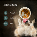 Imby Plant Based dog food, complete meat-free dry food for dogs, made with plant-based proteins and natural superfoods, supports digestion and overall wellbeing, hypoallergenic and low-calorie formula, balanced nutrition developed by vets, highly palatable kibble. | localization: EN