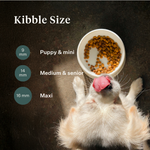 Imby Plant Based dog food, complete meat-free dry food for dogs, made with plant-based proteins and natural superfoods, supports digestion and overall wellbeing, hypoallergenic and low-calorie formula, balanced nutrition developed by vets, highly palatable kibble. | localization: EN