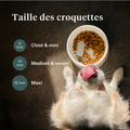 Imby Plant Based nourriture pour chiens, aliment sec complet sans viande pour chiens, à base de protéines végétales et de superaliments naturels, soutient la digestion et le bien-être général, formule hypoallergénique et faible en calories, nutrition équilibrée développée par des vétérinaires, croquettes très appétentes. | localization: FR