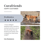 Imby Probiotics supplement for dogs, supports gut health and balanced microbiome, helps promote firm and healthy stools, supports digestive comfort and regularity, hypoallergenic formula suitable for daily use, helps maintain gut resilience during stress or diet changes. | localization: EN