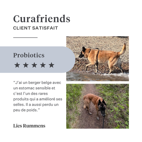 Imby Probiotics complément pour chiens, soutient la santé digestive et l’équilibre du microbiome, aide à favoriser des selles fermes et saines, soutient le confort digestif et la régularité, formule hypoallergénique adaptée à un usage quotidien, aide à maintenir la résilience intestinale en cas de stress ou de changement alimentaire. | localization: FR