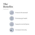 Imby Probiotics supplement for dogs, supports gut health and balanced microbiome, helps promote firm and healthy stools, supports digestive comfort and regularity, hypoallergenic formula suitable for daily use, helps maintain gut resilience during stress or diet changes. | localization: EN