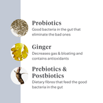 Imby Probiotics supplement for dogs, supports gut health and balanced microbiome, helps promote firm and healthy stools, supports digestive comfort and regularity, hypoallergenic formula suitable for daily use, helps maintain gut resilience during stress or diet changes. | localization: EN