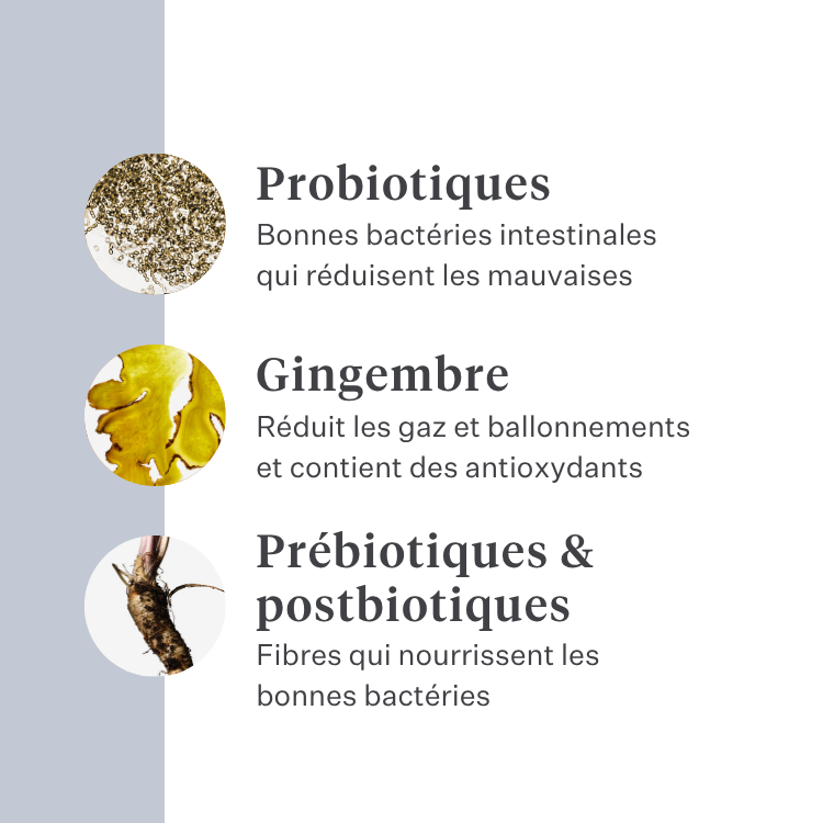 Imby Probiotics complément pour chiens, soutient la santé digestive et l’équilibre du microbiome, aide à favoriser des selles fermes et saines, soutient le confort digestif et la régularité, formule hypoallergénique adaptée à un usage quotidien, aide à maintenir la résilience intestinale en cas de stress ou de changement alimentaire. | localization: FR
