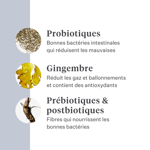 Imby Probiotics complément pour chiens, soutient la santé digestive et l’équilibre du microbiome, aide à favoriser des selles fermes et saines, soutient le confort digestif et la régularité, formule hypoallergénique adaptée à un usage quotidien, aide à maintenir la résilience intestinale en cas de stress ou de changement alimentaire. | localization: FR