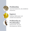 Imby Probiotics Ergänzungsfuttermittel für Hunde, unterstützt die Darmgesundheit und ein ausgewogenes Mikrobiom, hilft feste und gesunde Stühle zu fördern, unterstützt Verdauungskomfort und Regelmäßigkeit, hypoallergene Formel für den täglichen Gebrauch geeignet, hilft die Darmresilienz bei Stress oder Futterumstellungen zu erhalten. | localization: DE
