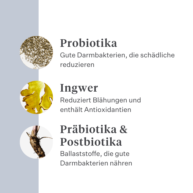 Imby Probiotics Ergänzungsfuttermittel für Hunde, unterstützt die Darmgesundheit und ein ausgewogenes Mikrobiom, hilft feste und gesunde Stühle zu fördern, unterstützt Verdauungskomfort und Regelmäßigkeit, hypoallergene Formel für den täglichen Gebrauch geeignet, hilft die Darmresilienz bei Stress oder Futterumstellungen zu erhalten. | localization: DE