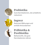 Imby Probiotics Ergänzungsfuttermittel für Hunde, unterstützt die Darmgesundheit und ein ausgewogenes Mikrobiom, hilft feste und gesunde Stühle zu fördern, unterstützt Verdauungskomfort und Regelmäßigkeit, hypoallergene Formel für den täglichen Gebrauch geeignet, hilft die Darmresilienz bei Stress oder Futterumstellungen zu erhalten. | localization: DE