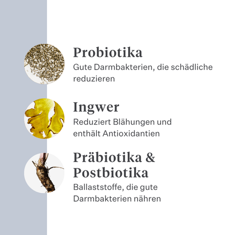 Imby Probiotics Ergänzungsfuttermittel für Hunde, unterstützt die Darmgesundheit und ein ausgewogenes Mikrobiom, hilft feste und gesunde Stühle zu fördern, unterstützt Verdauungskomfort und Regelmäßigkeit, hypoallergene Formel für den täglichen Gebrauch geeignet, hilft die Darmresilienz bei Stress oder Futterumstellungen zu erhalten. | localization: DE