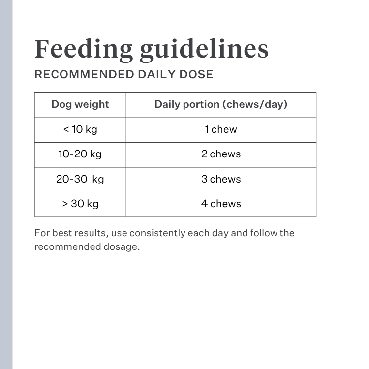 Imby Probiotics supplement for dogs, supports gut health and balanced microbiome, helps promote firm and healthy stools, supports digestive comfort and regularity, hypoallergenic formula suitable for daily use, helps maintain gut resilience during stress or diet changes. | localization: EN