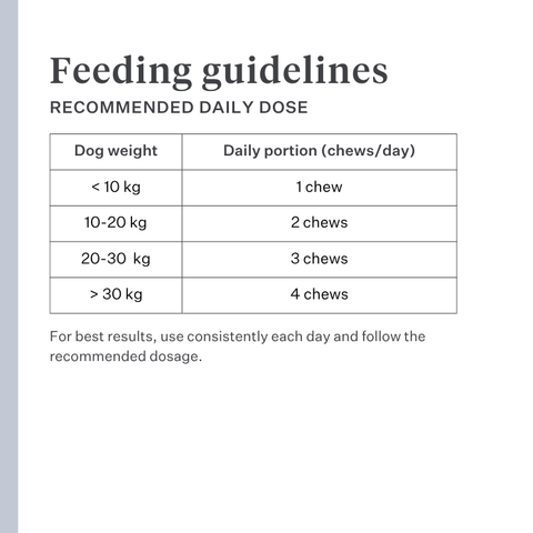 Imby Probiotics supplement for dogs, supports gut health and balanced microbiome, helps promote firm and healthy stools, supports digestive comfort and regularity, hypoallergenic formula suitable for daily use, helps maintain gut resilience during stress or diet changes. | localization: EN