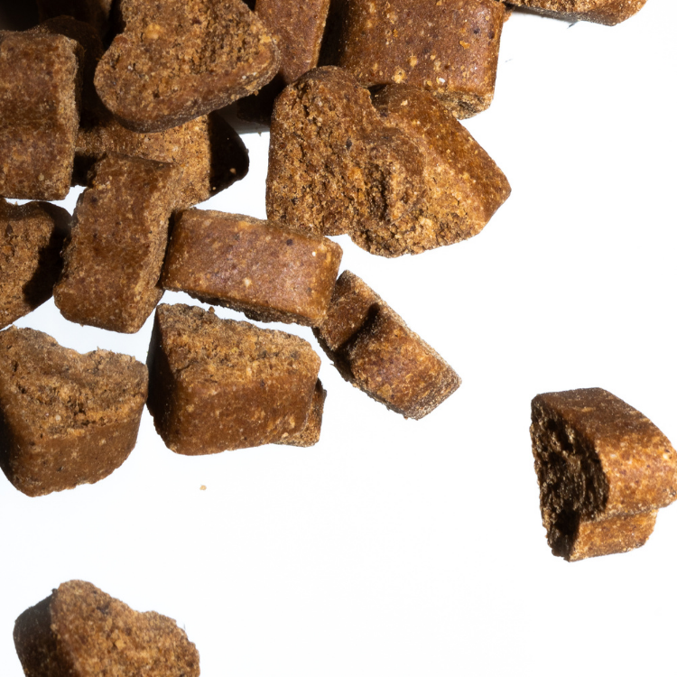 Imby Probiotics complément pour chiens, soutient la santé digestive et l’équilibre du microbiome, aide à favoriser des selles fermes et saines, soutient le confort digestif et la régularité, formule hypoallergénique adaptée à un usage quotidien, aide à maintenir la résilience intestinale en cas de stress ou de changement alimentaire. | localization: FR
