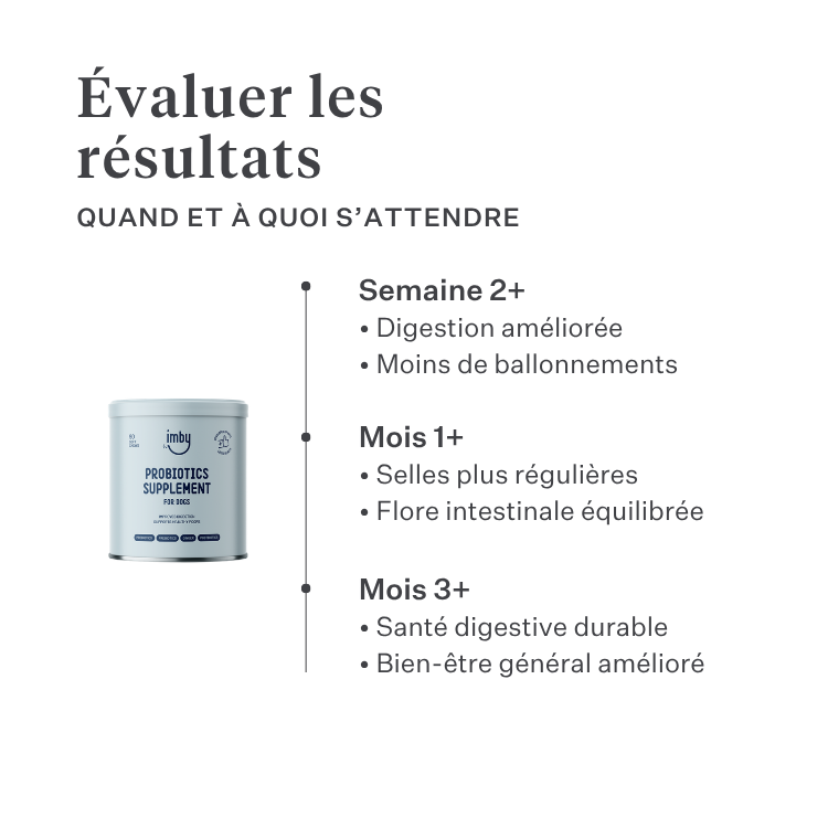 Imby Probiotics complément pour chiens, soutient la santé digestive et l’équilibre du microbiome, aide à favoriser des selles fermes et saines, soutient le confort digestif et la régularité, formule hypoallergénique adaptée à un usage quotidien, aide à maintenir la résilience intestinale en cas de stress ou de changement alimentaire. | localization: FR