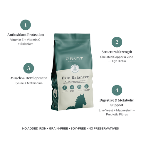 Talk about your brand