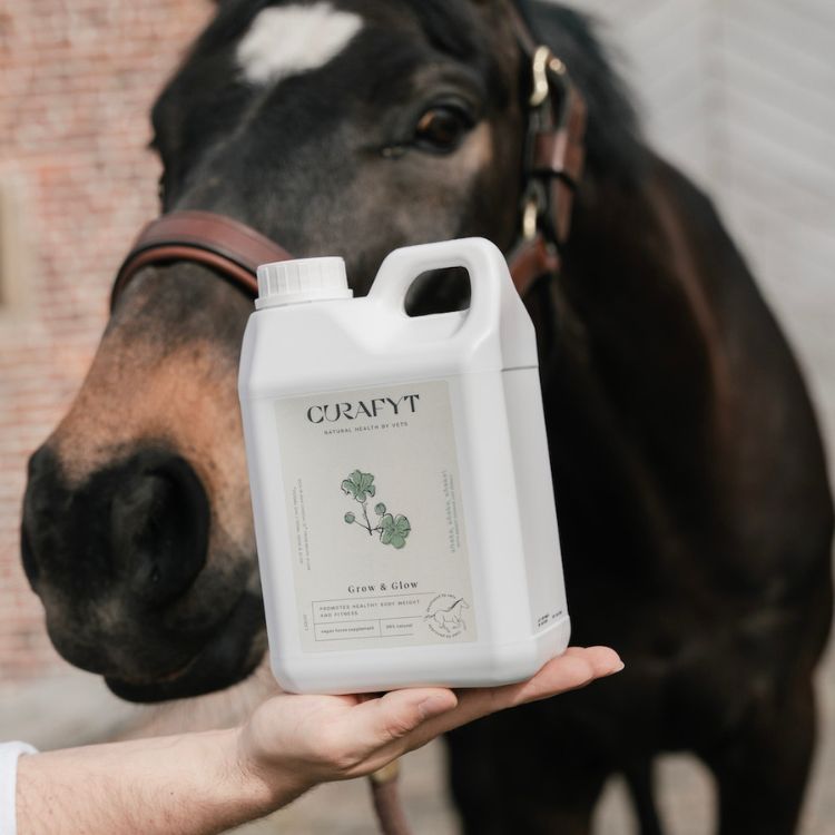 Horse Grow and Glow