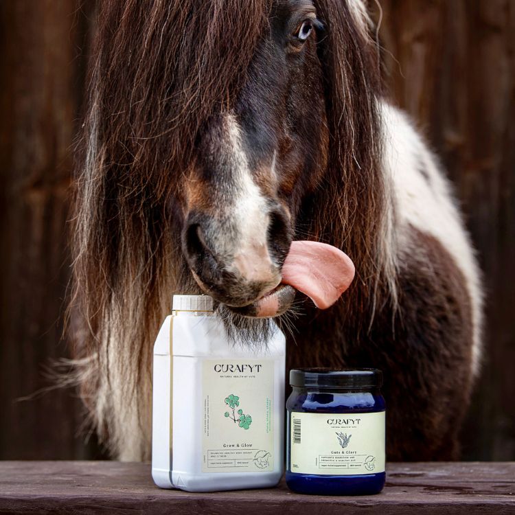 Horse Grow and Glow Guts and Glory 