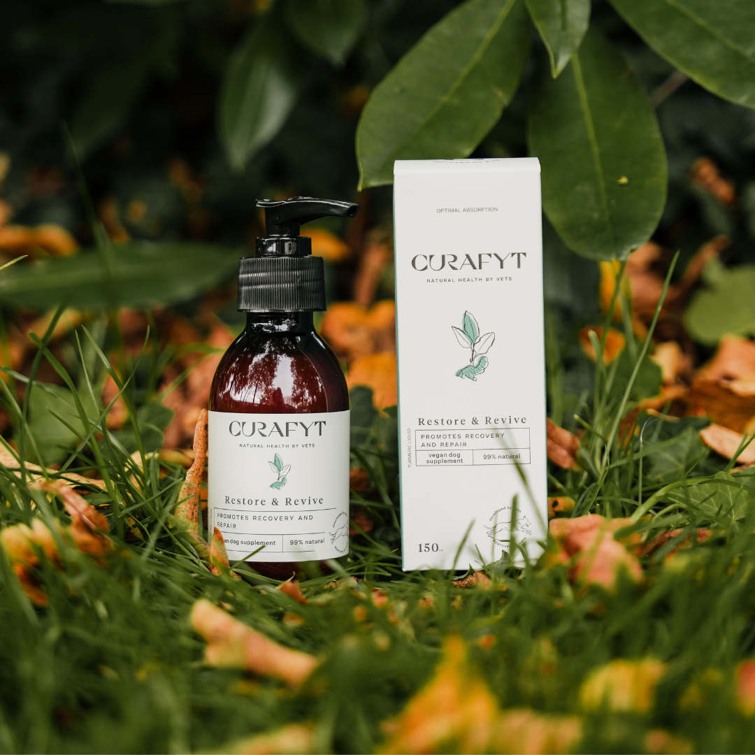 Restore & Revive Supplement