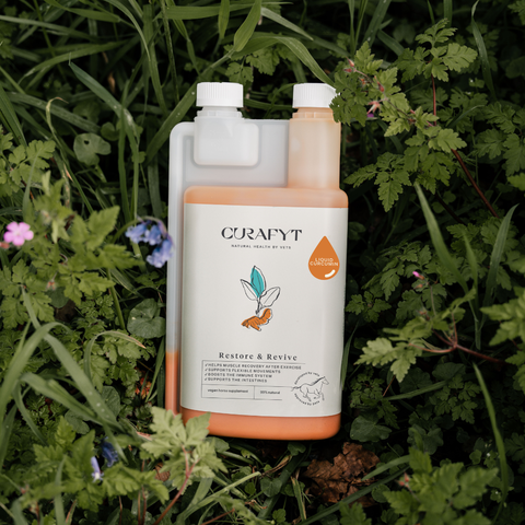 Restore & Revive | Curcumin Liquid Supplement