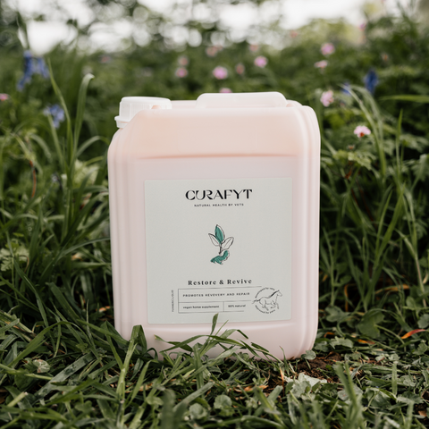 Restore & Revive | Curcumin Liquid Supplement