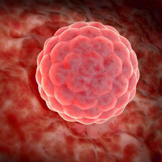 För att främja fertiliteten