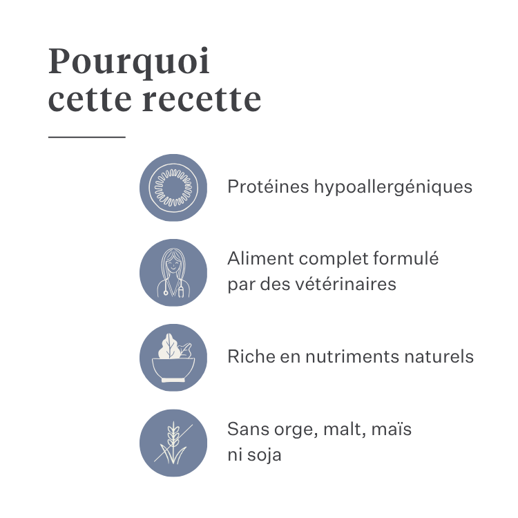 Imby Sensitive nourriture pour chiens, aliment sec complet à base d’insectes pour chiens souffrant d’allergies alimentaires, soutient la digestion et la santé de la peau, sans céréales avec prébiotiques et ingrédients naturels, formule équilibrée développée par des vétérinaires, croquettes très appétentes. | localization: FR