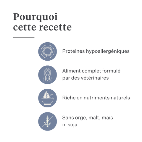 Imby Sensitive nourriture pour chiens, aliment sec complet à base d’insectes pour chiens souffrant d’allergies alimentaires, soutient la digestion et la santé de la peau, sans céréales avec prébiotiques et ingrédients naturels, formule équilibrée développée par des vétérinaires, croquettes très appétentes. | localization: FR
