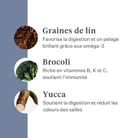 Imby Sensitive nourriture pour chiens, aliment sec complet à base d’insectes pour chiens souffrant d’allergies alimentaires, soutient la digestion et la santé de la peau, sans céréales avec prébiotiques et ingrédients naturels, formule équilibrée développée par des vétérinaires, croquettes très appétentes. | localization: FR