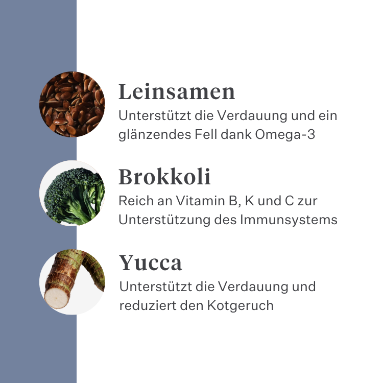 Imby Sensitive Hundefutter, vollständiges Trockenfutter auf Insektenbasis für Hunde mit Futtermittelallergien, unterstützt Verdauung und Hautgesundheit, getreidefrei mit Präbiotika und natürlichen Inhaltsstoffen, ausgewogene von Tierärzten entwickelte Formel, sehr schmackhafte Kroketten. | localization: DE
