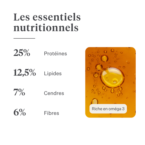 Imby Sensitive nourriture pour chiens, aliment sec complet à base d’insectes pour chiens souffrant d’allergies alimentaires, soutient la digestion et la santé de la peau, sans céréales avec prébiotiques et ingrédients naturels, formule équilibrée développée par des vétérinaires, croquettes très appétentes. | localization: FR