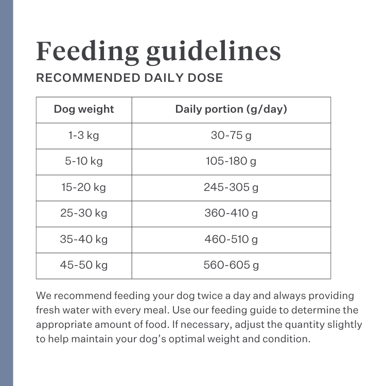 Imby Sensitive dog food, complete insect-based dry food for dogs with food allergies, supports digestion and skin health, grain-free with prebiotics and natural ingredients, vet-developed balanced formula, highly palatable kibble. | localization: EN