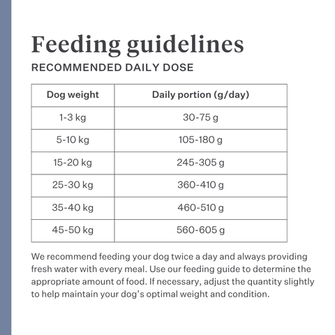 Imby Sensitive dog food, complete insect-based dry food for dogs with food allergies, supports digestion and skin health, grain-free with prebiotics and natural ingredients, vet-developed balanced formula, highly palatable kibble. | localization: EN