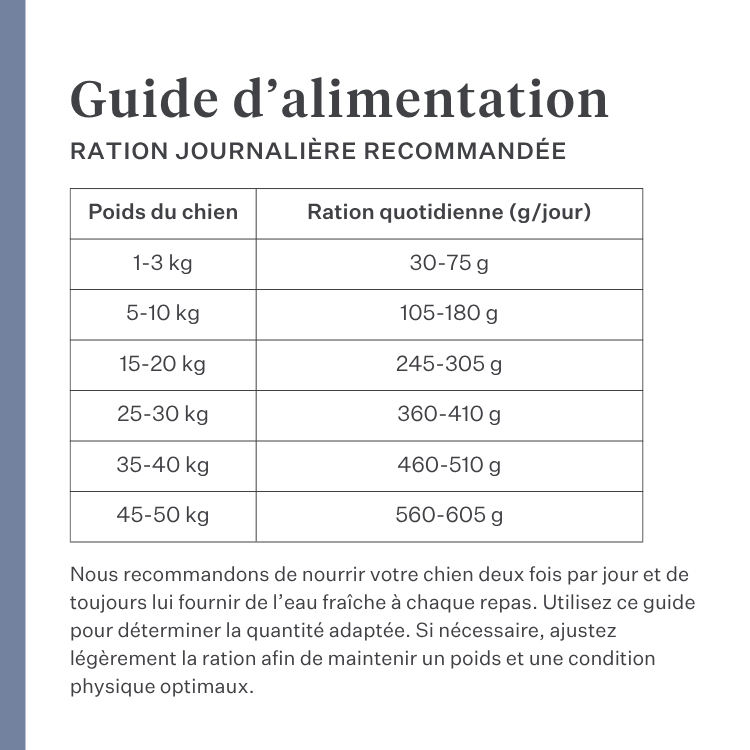 Imby Sensitive nourriture pour chiens, aliment sec complet à base d’insectes pour chiens souffrant d’allergies alimentaires, soutient la digestion et la santé de la peau, sans céréales avec prébiotiques et ingrédients naturels, formule équilibrée développée par des vétérinaires, croquettes très appétentes. | localization: FR
