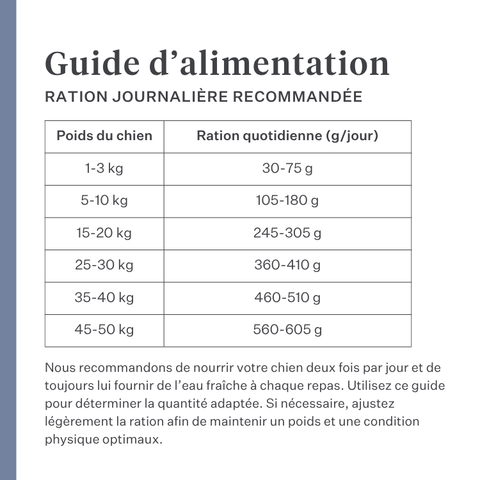 Imby Sensitive nourriture pour chiens, aliment sec complet à base d’insectes pour chiens souffrant d’allergies alimentaires, soutient la digestion et la santé de la peau, sans céréales avec prébiotiques et ingrédients naturels, formule équilibrée développée par des vétérinaires, croquettes très appétentes. | localization: FR