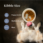Imby Sensitive dog food, complete insect-based dry food for dogs with food allergies, supports digestion and skin health, grain-free with prebiotics and natural ingredients, vet-developed balanced formula, highly palatable kibble. | localization: EN