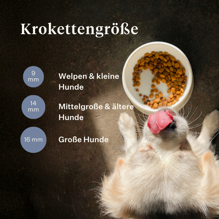 Imby Sensitive Hundefutter, vollständiges Trockenfutter auf Insektenbasis für Hunde mit Futtermittelallergien, unterstützt Verdauung und Hautgesundheit, getreidefrei mit Präbiotika und natürlichen Inhaltsstoffen, ausgewogene von Tierärzten entwickelte Formel, sehr schmackhafte Kroketten. | localization: DE