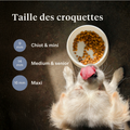 Imby Sensitive nourriture pour chiens, aliment sec complet à base d’insectes pour chiens souffrant d’allergies alimentaires, soutient la digestion et la santé de la peau, sans céréales avec prébiotiques et ingrédients naturels, formule équilibrée développée par des vétérinaires, croquettes très appétentes. | localization: FR