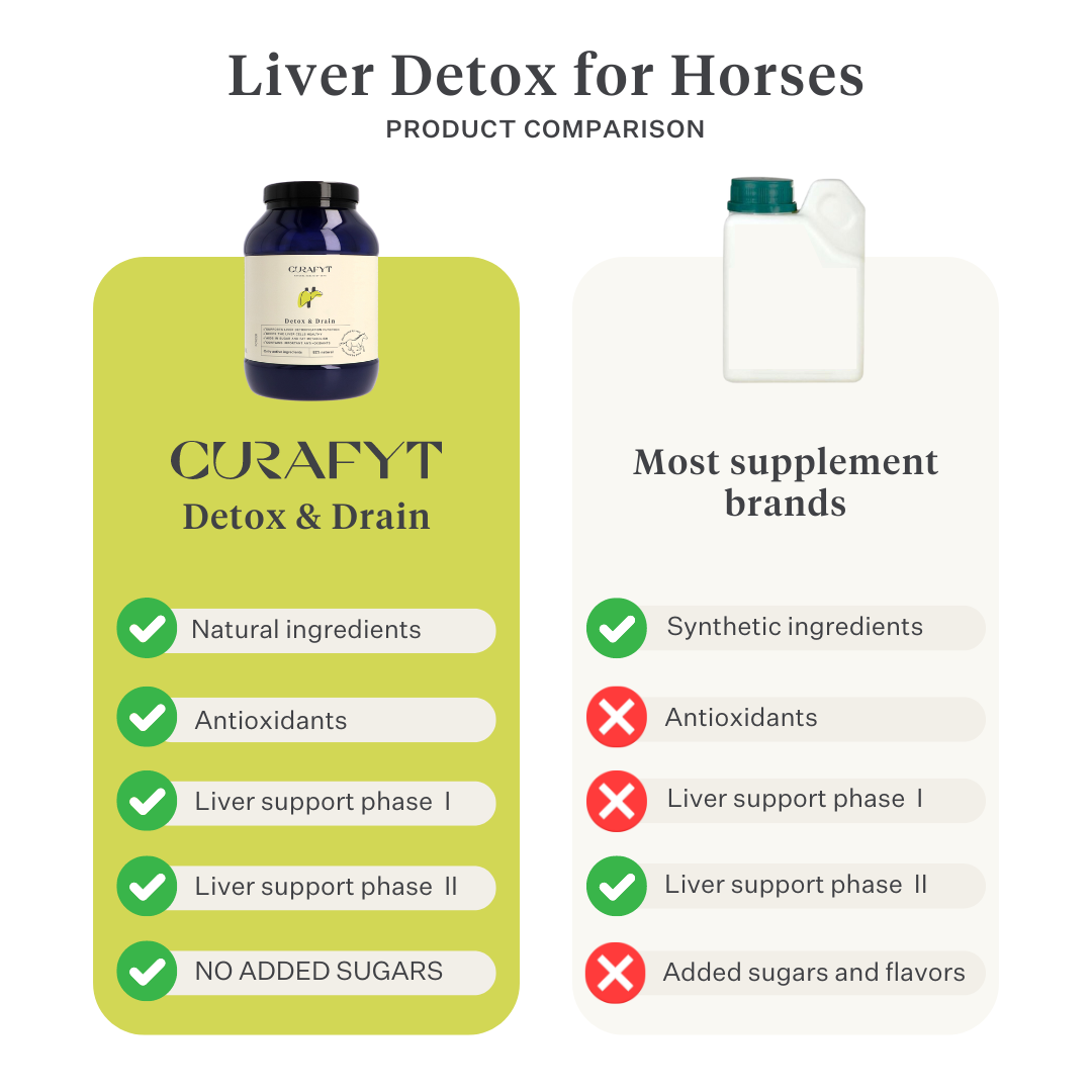 comparison detox and drain