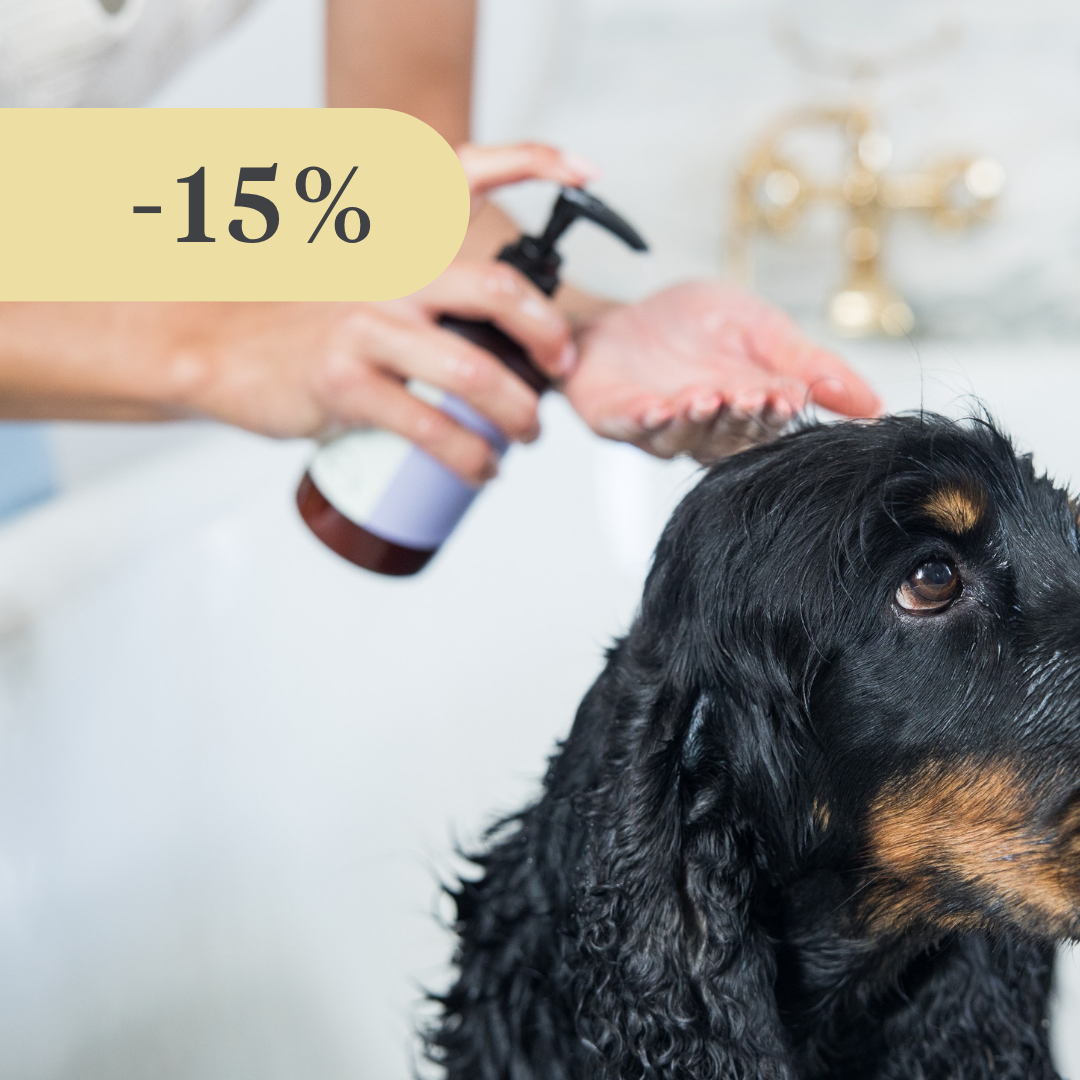 Sheen & Shine Shampoo
