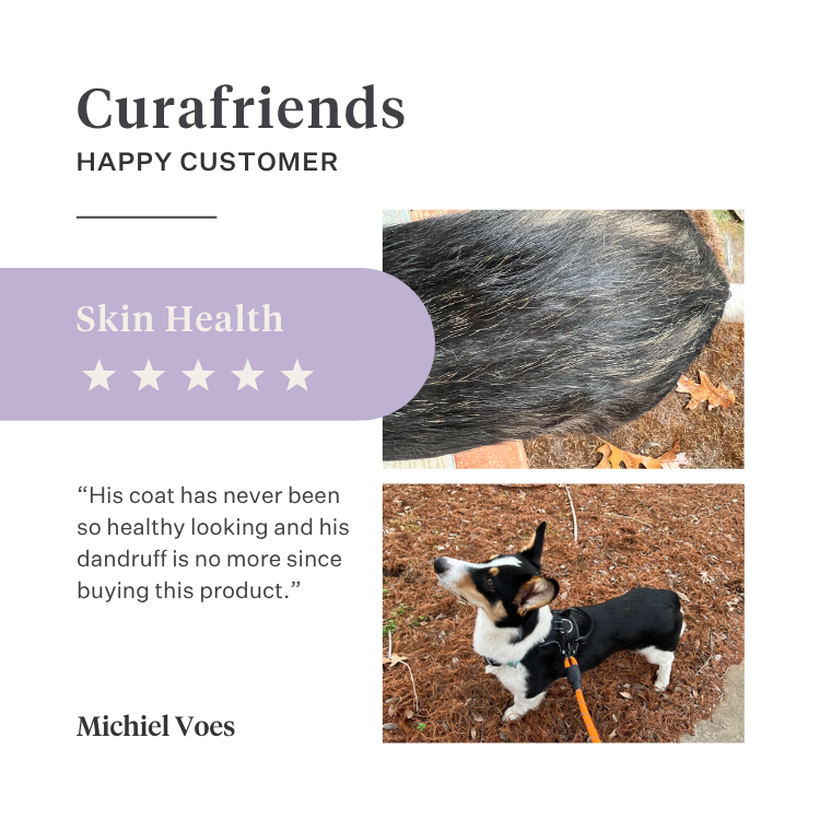 Imby Skin Health supplement for dogs, supports overall health and daily vitality, helps maintain immune function and healthy skin and coat, fills nutritional gaps in the daily diet, vet-formulated balanced support suitable for daily use. | localization: EN